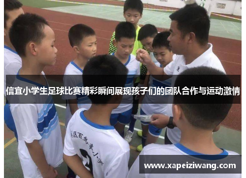 信宜小学生足球比赛精彩瞬间展现孩子们的团队合作与运动激情